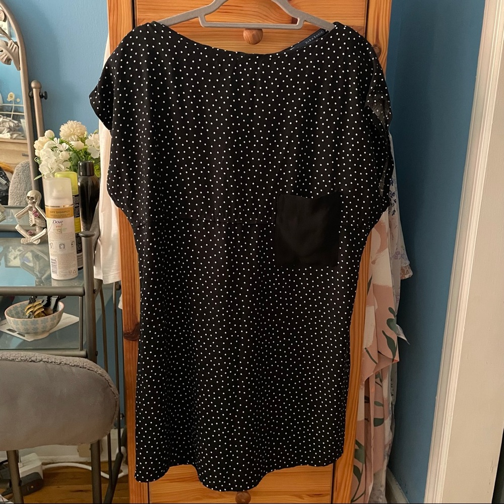 ZARA Polka Dot Mini Dress